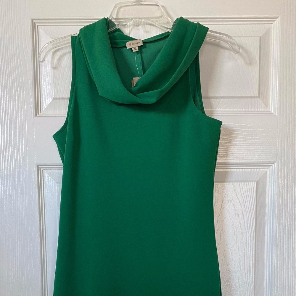 Daniel Cremieux Sleeveless, cowl neck dress